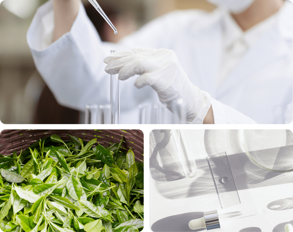 特許取得の抽出技術、こだわりの原材料を使用